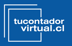 tucontadorvirtual.cl